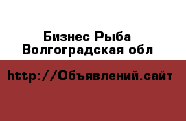 Бизнес Рыба. Волгоградская обл.